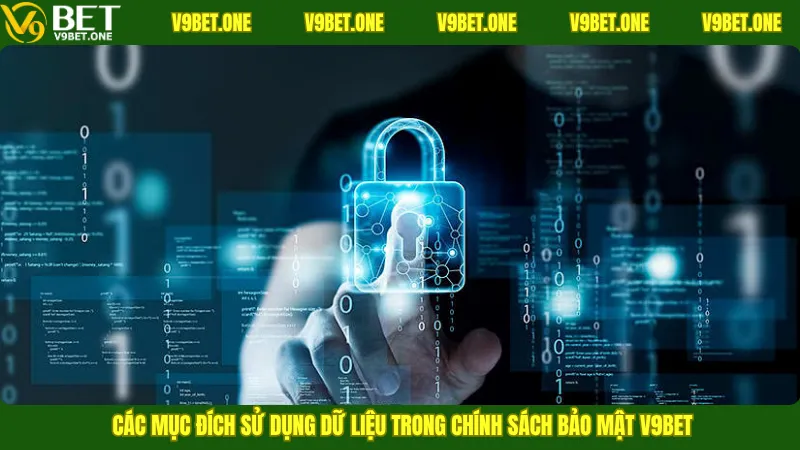 Các mục đích sử dụng dữ liệu trong chính sách bảo mật V9bet